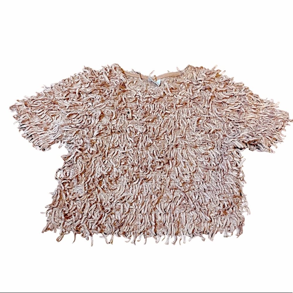 Zara Dusty Rose (Pink) Chenille Type Top Blouse | Size 7
